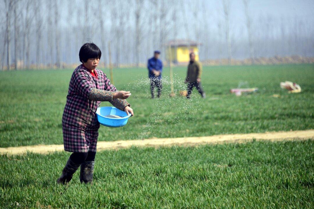 China Braces for Food Crisis