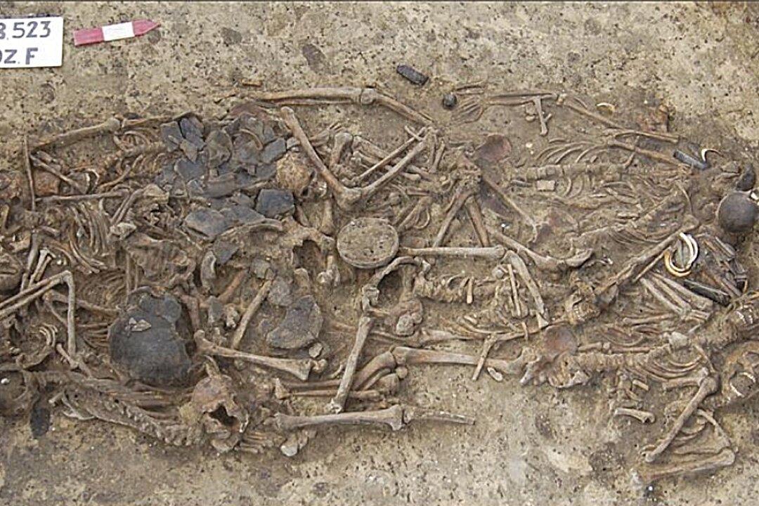 5000-Year-Old Grave Reveals Family of 15 Killed by Blows to Head
