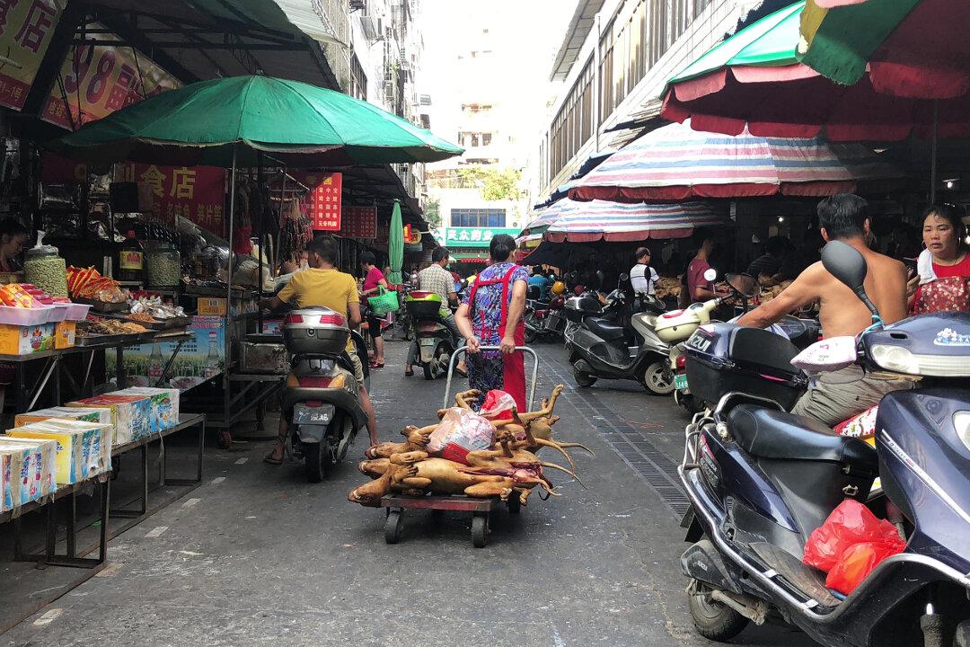 ‘Live Barbecued Dog’ Revealed as a New Low in China’s Animal Treatment
