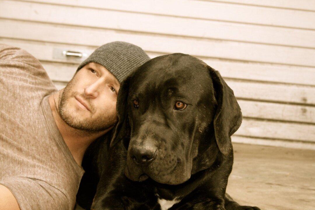 A Last Chance for Dogs