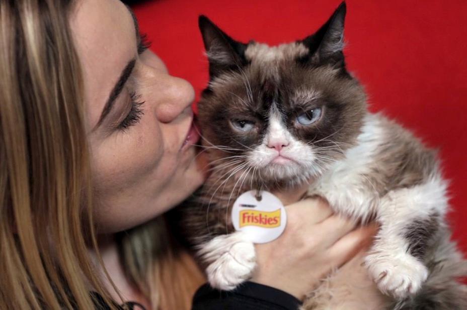 Internet Sensation Grumpy Cat Has Died Aged 7
