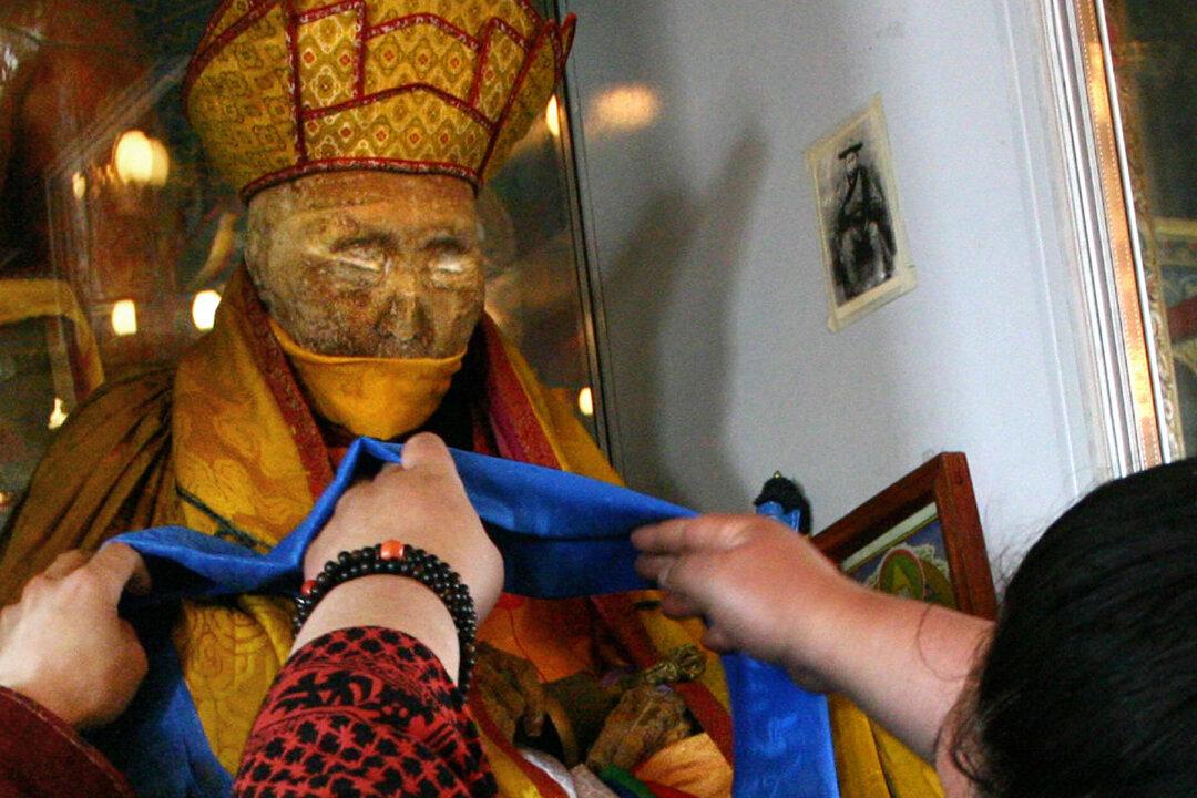 Does This Footage Prove That 164-Year-Old Mummified Lama Was Wandering Around the Museum?