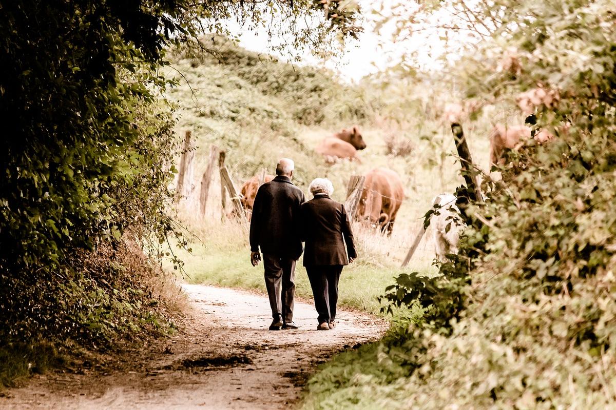 Illustration - Pixabay | <a href="https://pixabay.com/photos/pair-seniors-pensioners-age-2914879/">PICNIC_Fotografie</a>