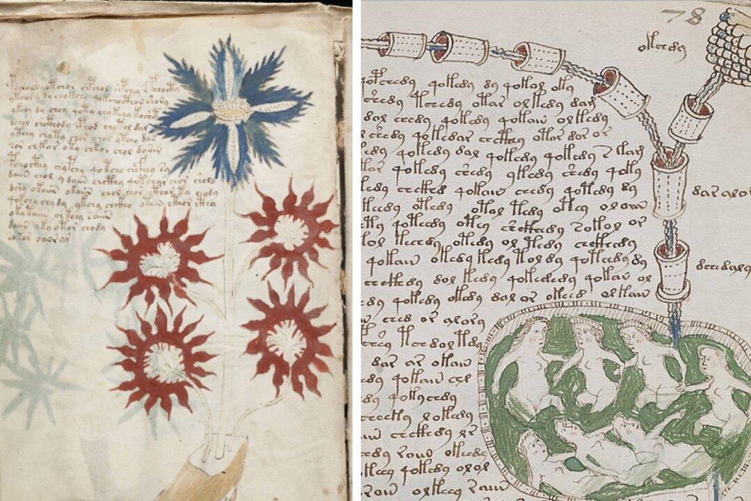 Expert Says Humanity Still Doesn’t Understand ‘Alien’ Characters of a Mysterious Text