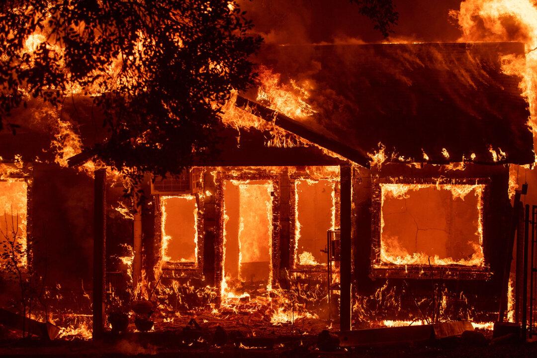 Cat Amazingly Survives Camp Fire After Family Evacuates, Gets Incredible Reunion