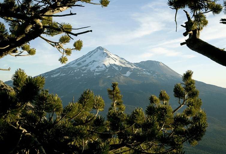 An Outdoor Haven in Northern California