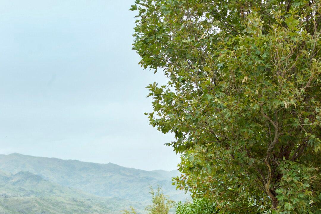 The Centuries-Old French Tradition of Making Pots With Clay, Rope, and Wood