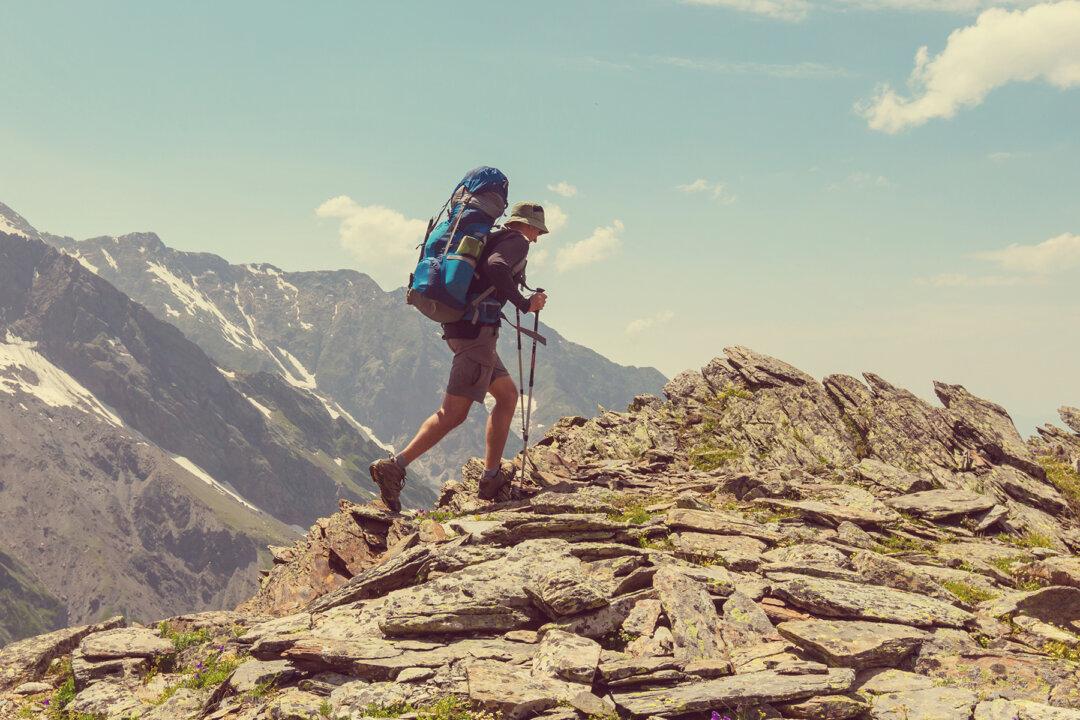 US Marine Hiking in Arizona Canyon Comes Across Homeless Furry Friend Trapped in 350-Foot Hole