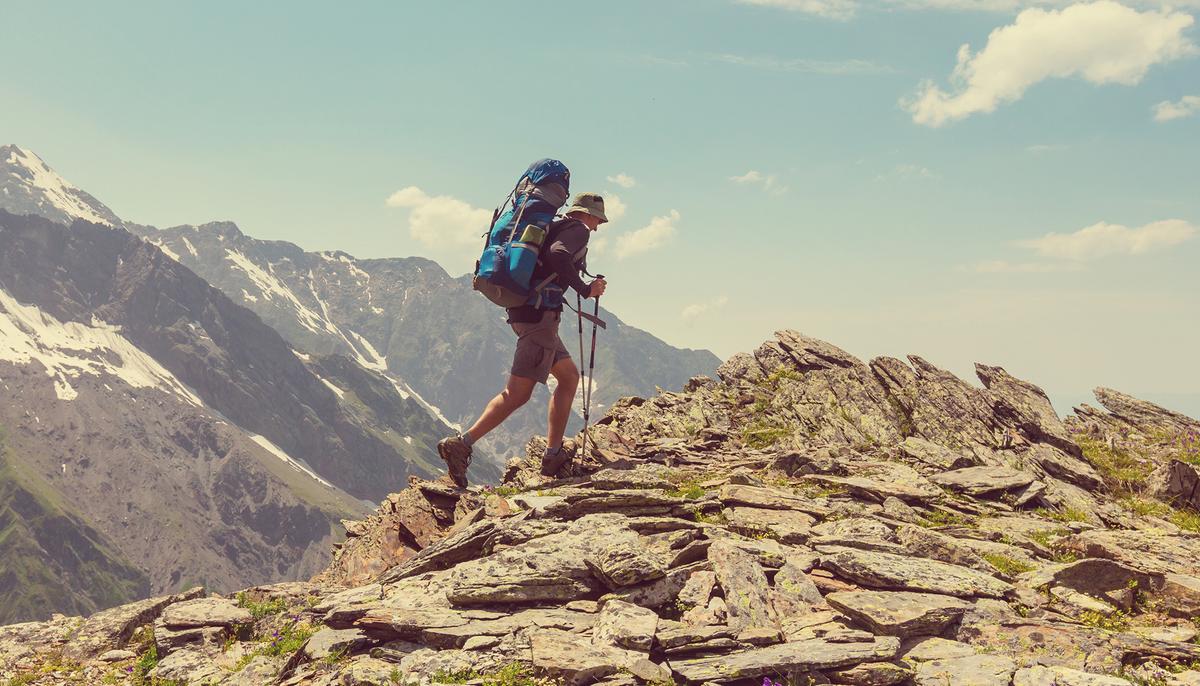 US Marine Hiking in Arizona Canyon Comes Across Homeless Furry Friend Trapped in 350-Foot Hole