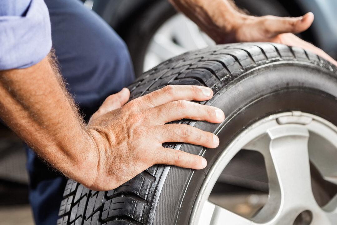 Vets Are Confused When Family Hauls Car Tire to ER—Then They Hear Tiny Cries for Help Inside