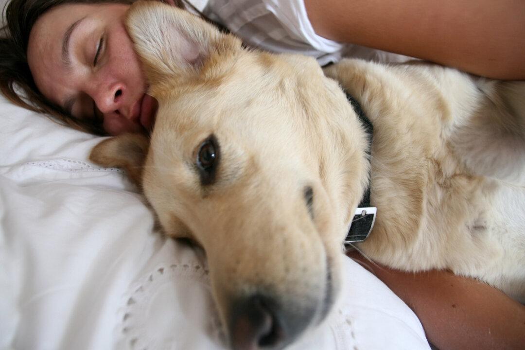 Woman Sleeps Overnight With Dying Dog So He Won’t Be Alone: ‘His Life Mattered’