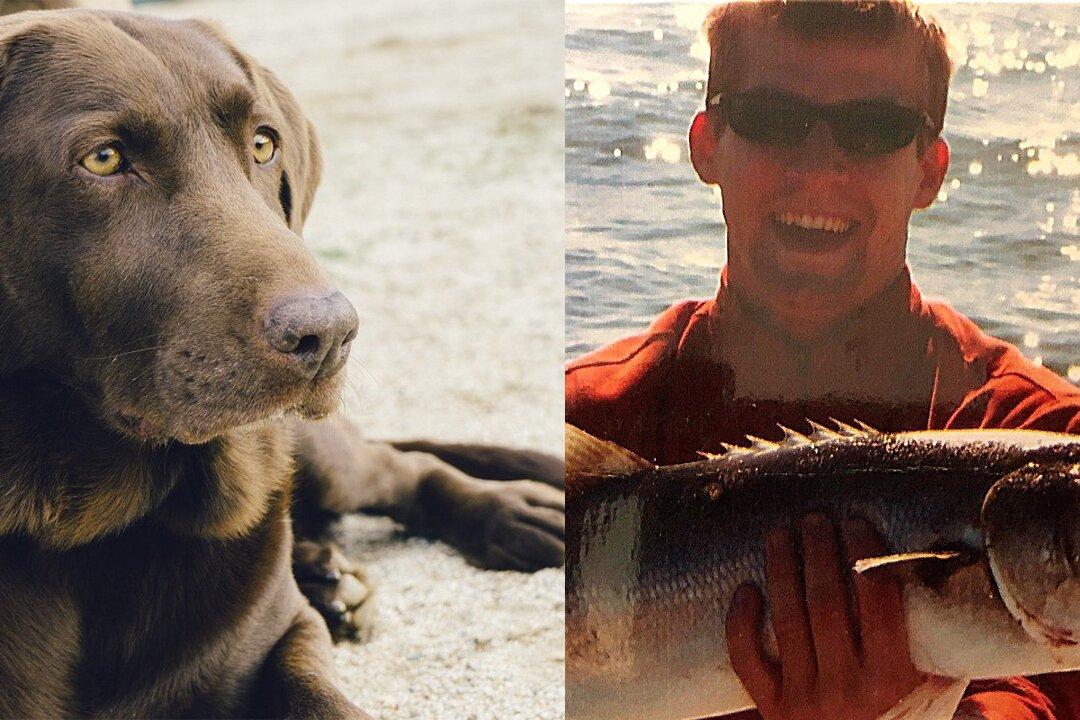Alligator Mauls Service Dog, Distraught Owner Kills Himself Next Day