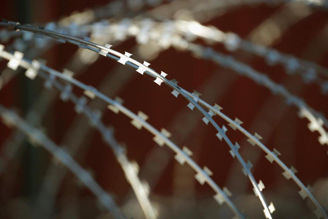 Border Agents Arrest Illegal Immigrants Convicted of Rape, Sexual Assault, in California and Texas