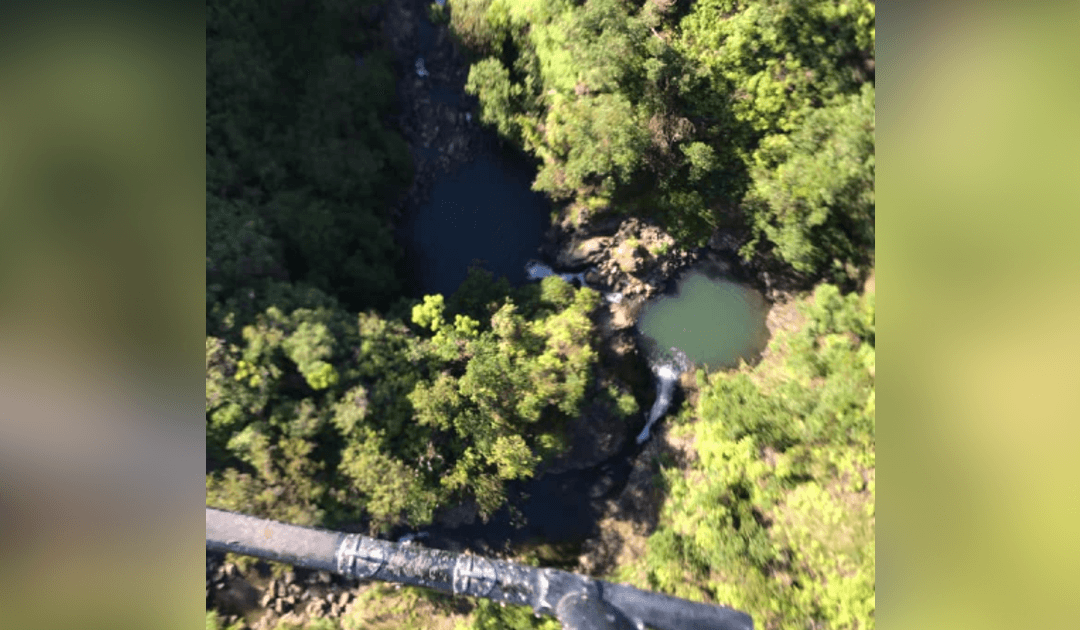 Hiker Missing for More Than 2 Weeks Found Alive in Maui, Hawaii