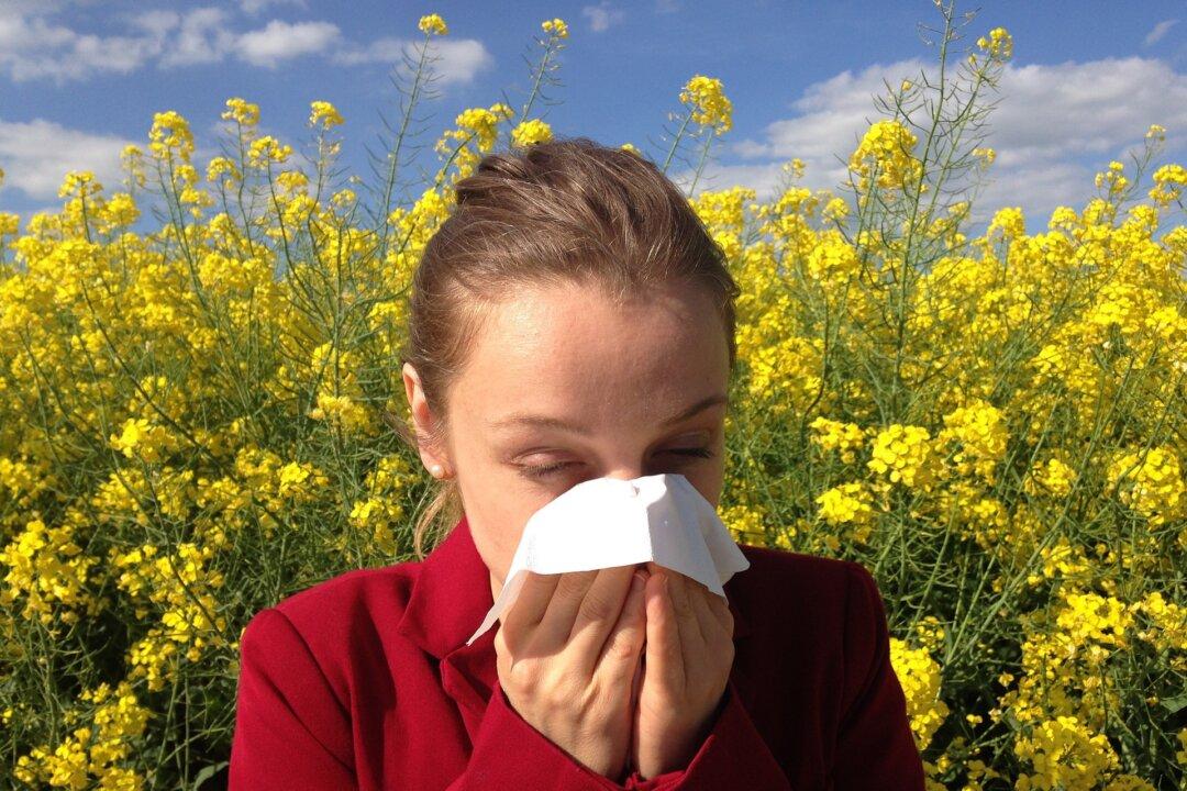 8 Tips for Natural Allergy Relief