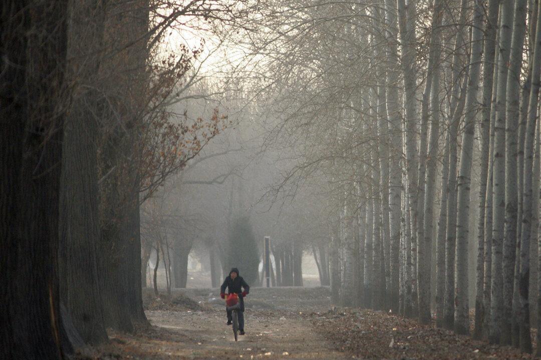 Police Rescue Turns Into Persecution: Woman in Bike Accident Arrested and Imprisoned for Her Faith