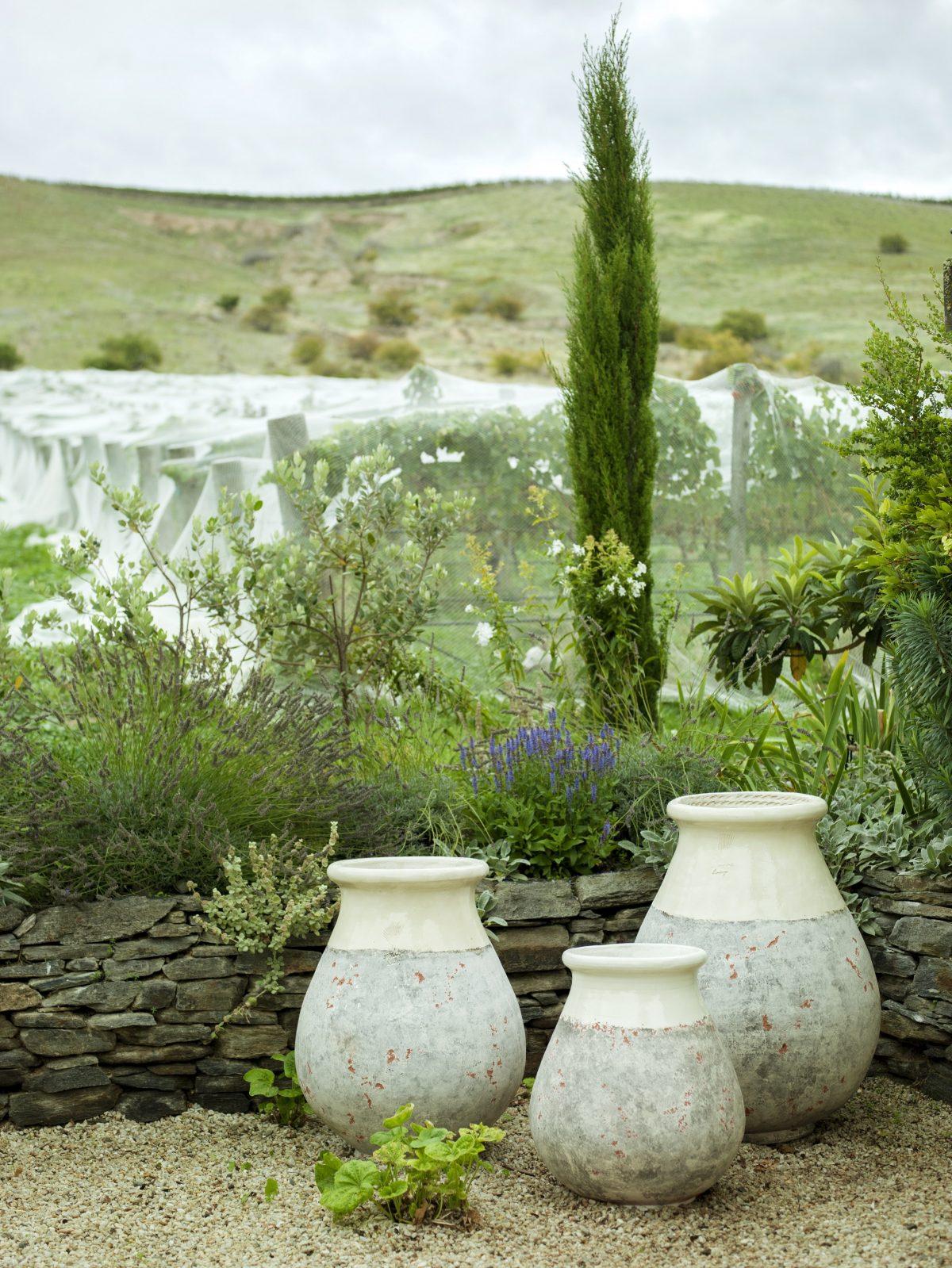 The traditional use for these Biot pots was to store grain. The teardrop design protects the grain from vermin. (Rachael McKenna)