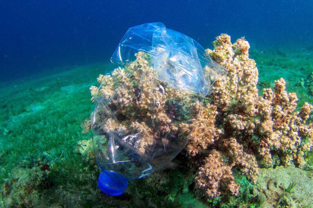 EU Voted for Complete Ban on Single-Use Plastics by 2021 to Keep Our Oceans Healthier