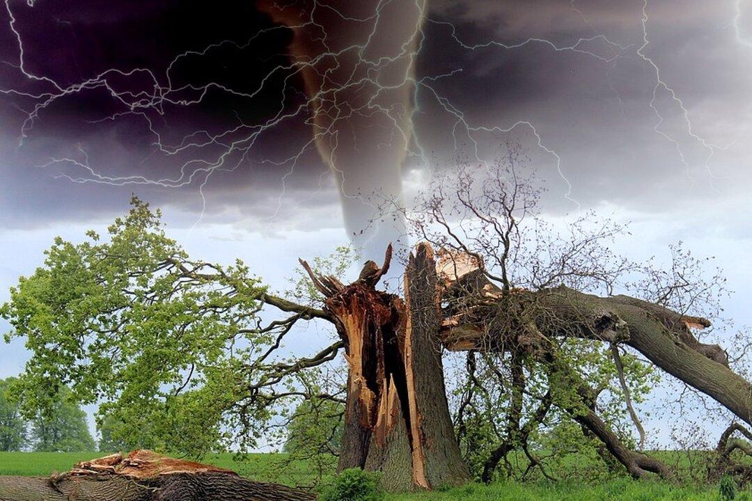 Brave Teacher Races a Tornado to Warn Parents Waiting for Their Children