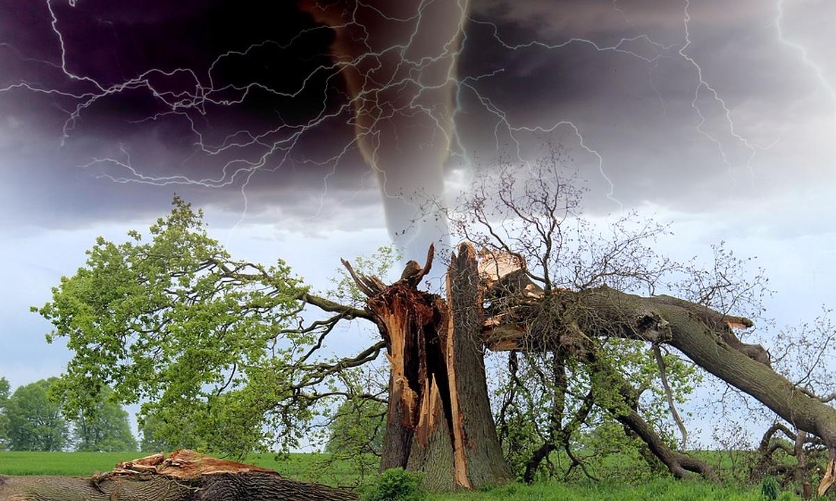 Brave Teacher Races a Tornado to Warn Parents Waiting for Their Children