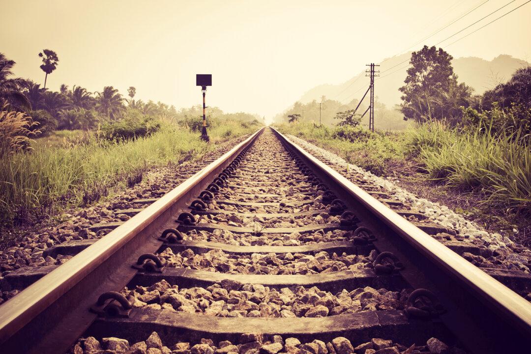 Train Conductor Spots Something on Tracks Ahead, Slams On Brakes, Finds Poor Abandoned Pup