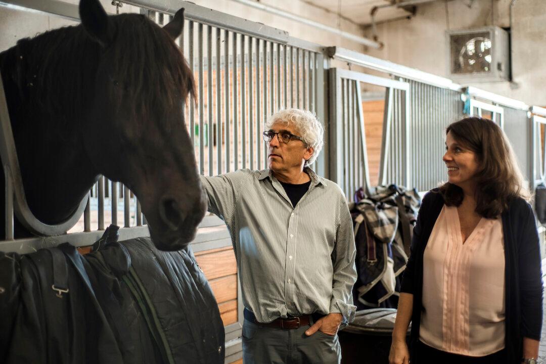 Horses Helping Veterans With PTSD