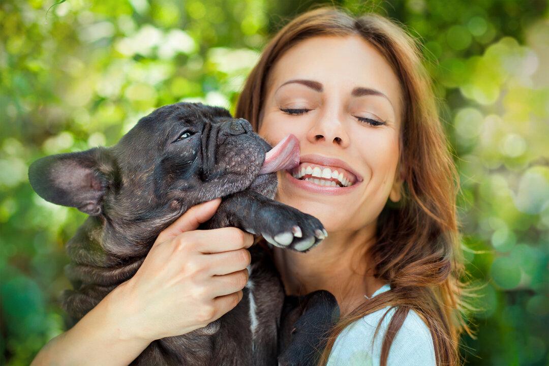 Here’s the Cold Truth Why You Should Never Let Your Dog Lick Your Face
