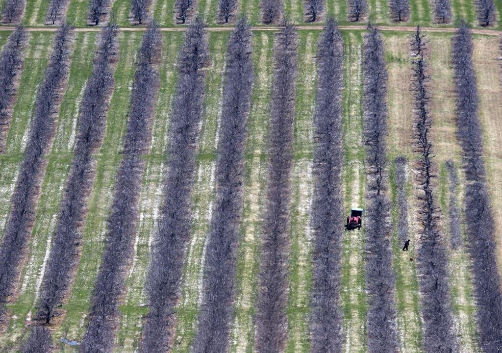 Migrant Workers Facing Obstacles as Canada’s New COVID-19 Travel Rules Roll Out