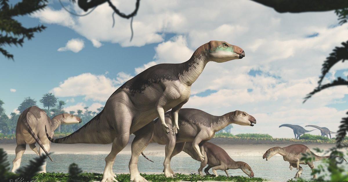 Dinosaur Herd Discovered in Australian Outback for First Time in History