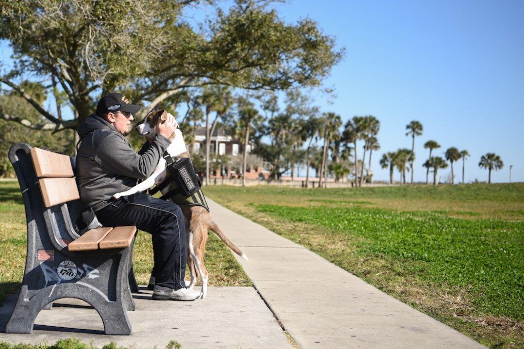 An Iraq War Veteran’s Struggle to Find Solace