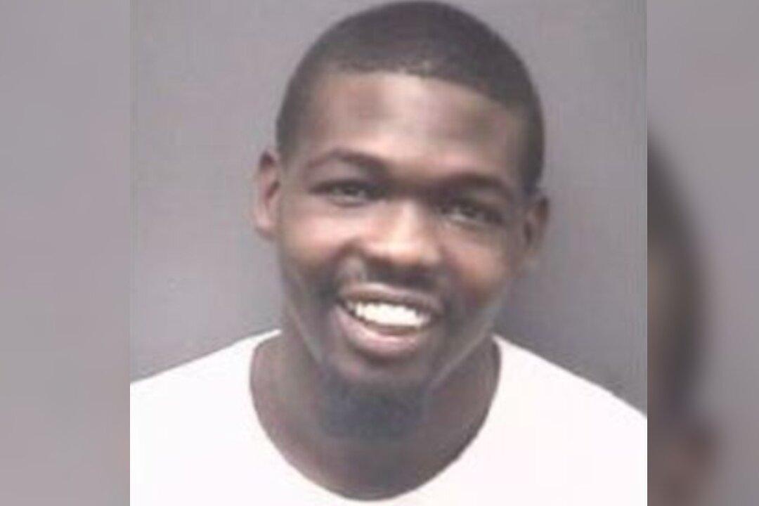 Man Charged With Animal Cruelty After Turtle Killed in Video