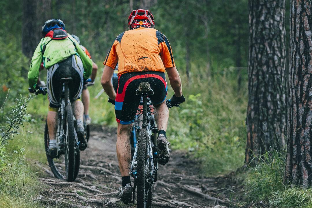 Cyclists in Portugal Rescue ‘Skeletal’ Dog in the Woods That Was Tied to Tree and Left to Die