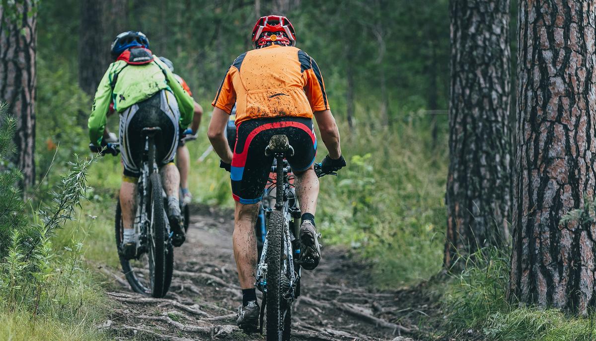 Cyclists in Portugal Rescue ‘Skeletal’ Dog in the Woods That Was Tied to Tree and Left to Die