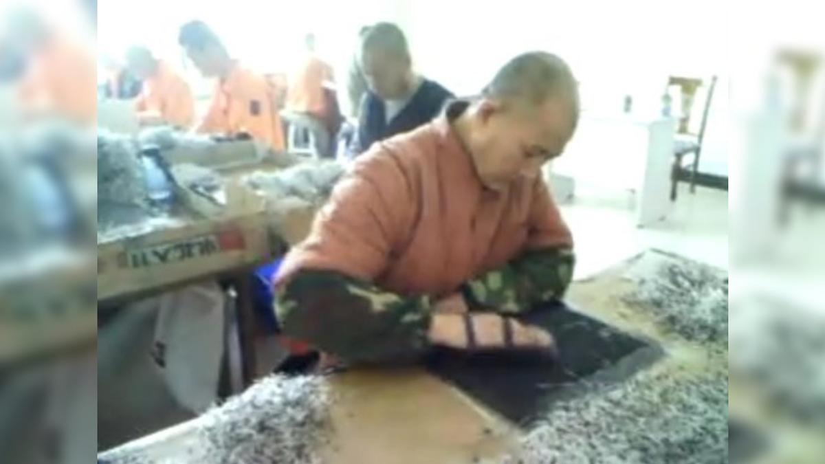 Secretly Recorded Footage Shows Slave Labor, Effects of Torture in Chinese Labor Camp