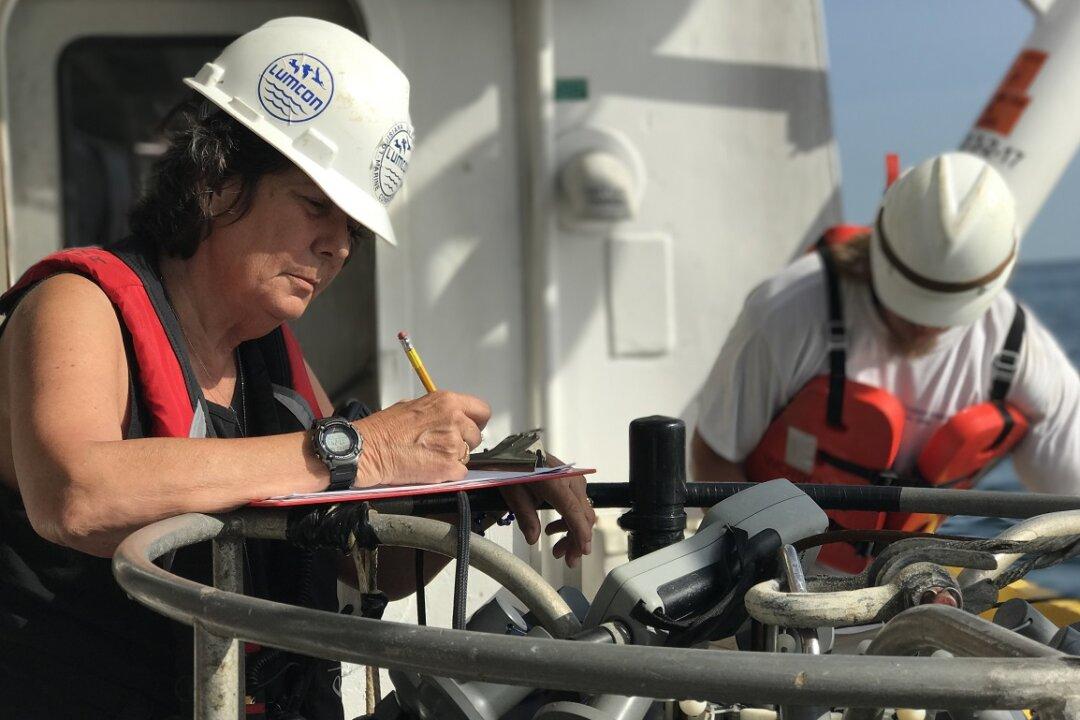 The Gulf Could See One of the Largest Dead Zones in History This Year