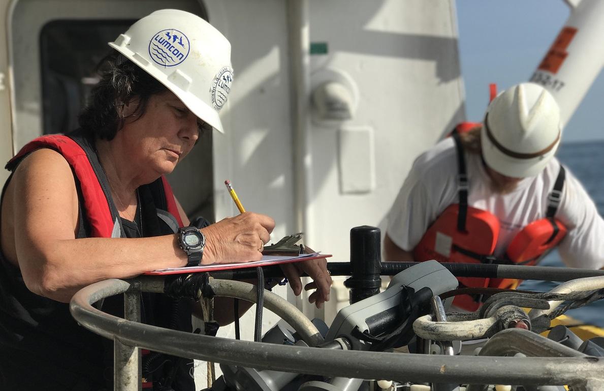 The Gulf Could See One of the Largest Dead Zones in History This Year