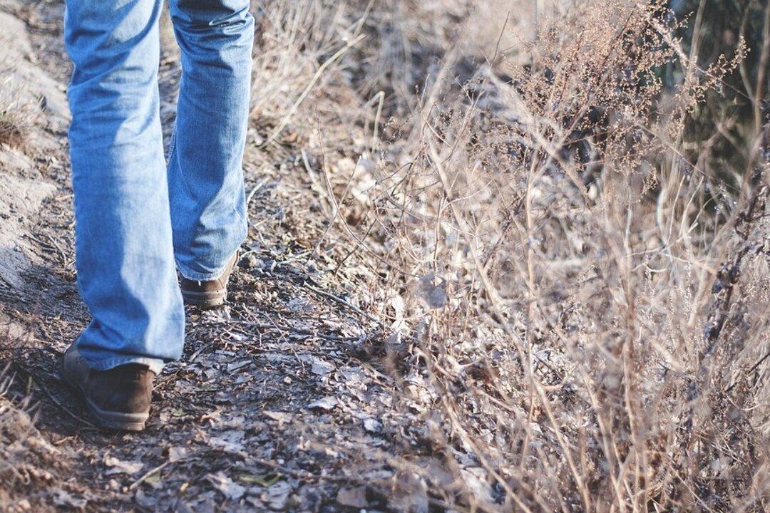 Man Falls 50 Feet to Death From Alaskan Trail While Helping Hikers Cross Deep Gorge