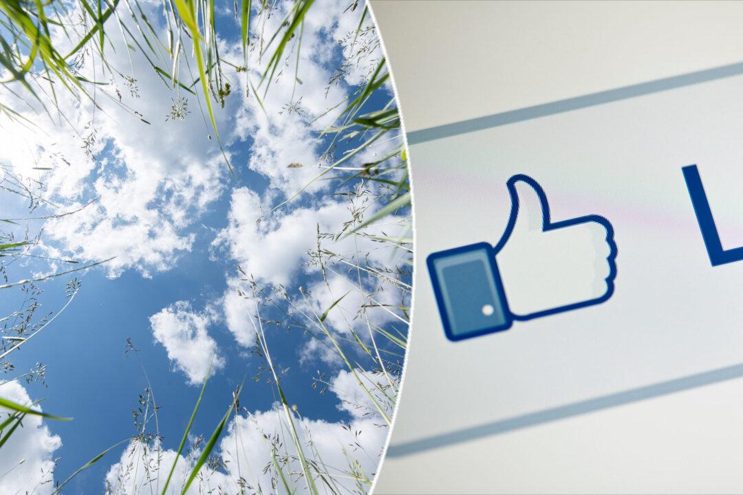 A ‘Like’ From Above Captured in Photograph