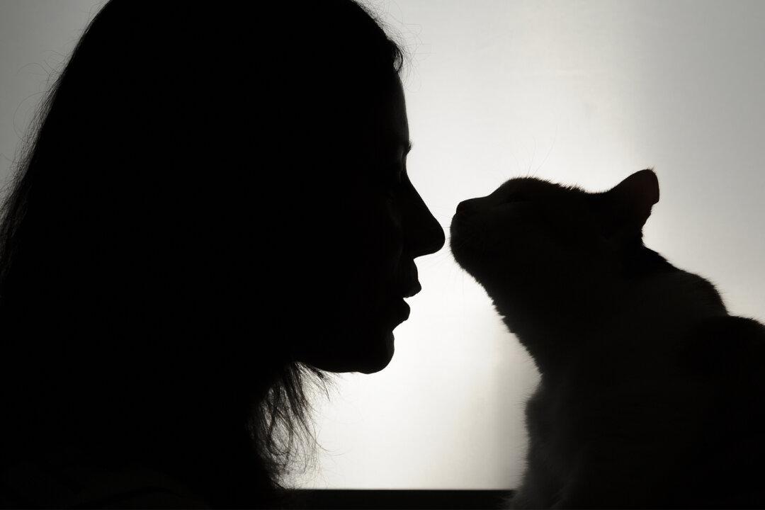 Lady Falls In Love With ‘Handicapped’ Kitty That Grows Even Bigger Than Some Dogs