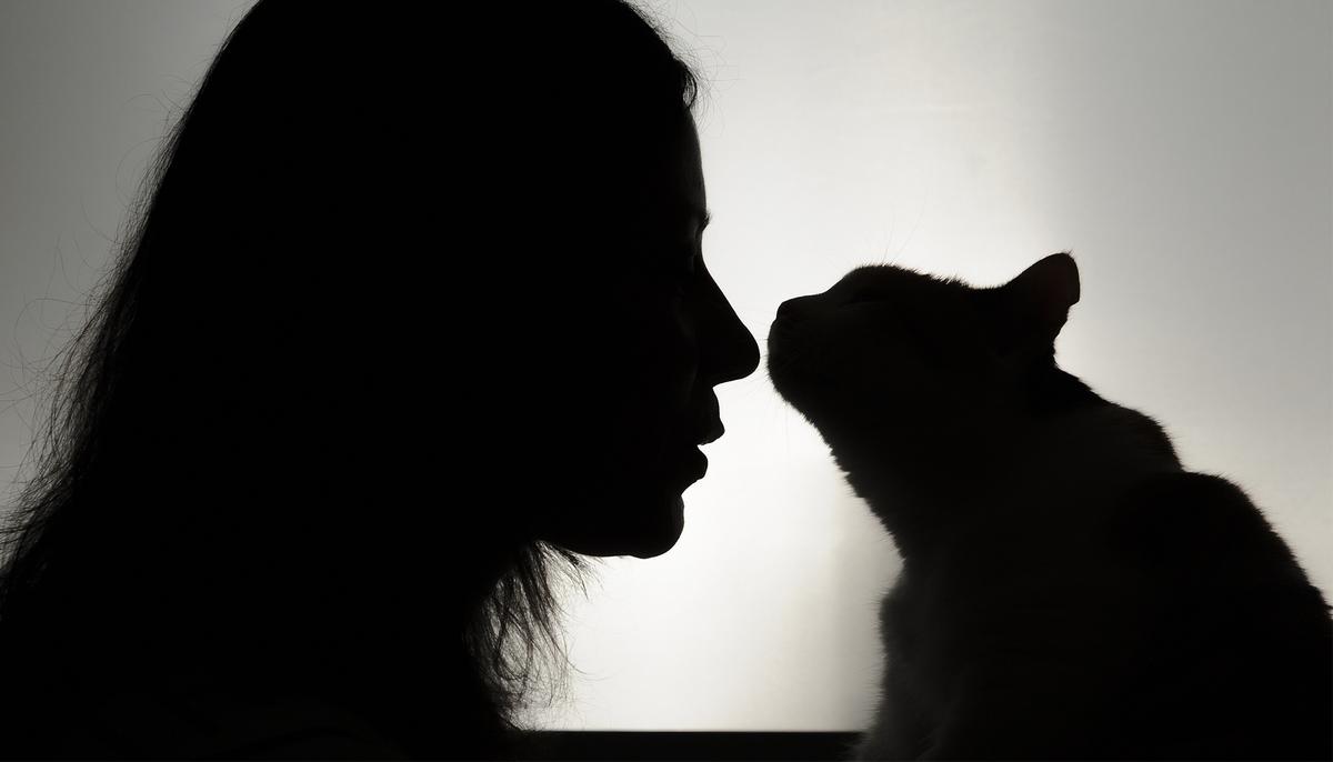 Lady Falls In Love With ‘Handicapped’ Kitty That Grows Even Bigger Than Some Dogs