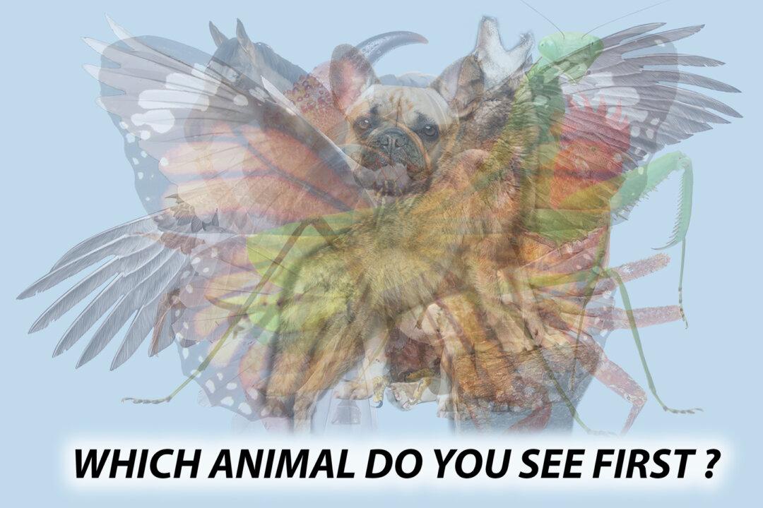 The First Animal You See in This Photo Will Reveal Hidden Aspects of Your Personality