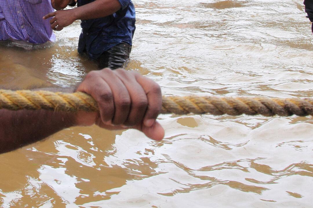 Video: Real Cowboys Deployed to Flood Zone With Lassos to Save Drowning Farm Animals