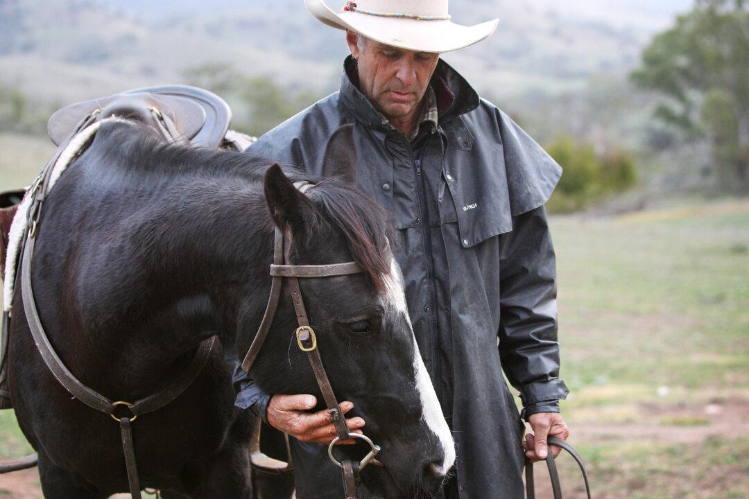 Hats Off to All the Fathers Who Are Men