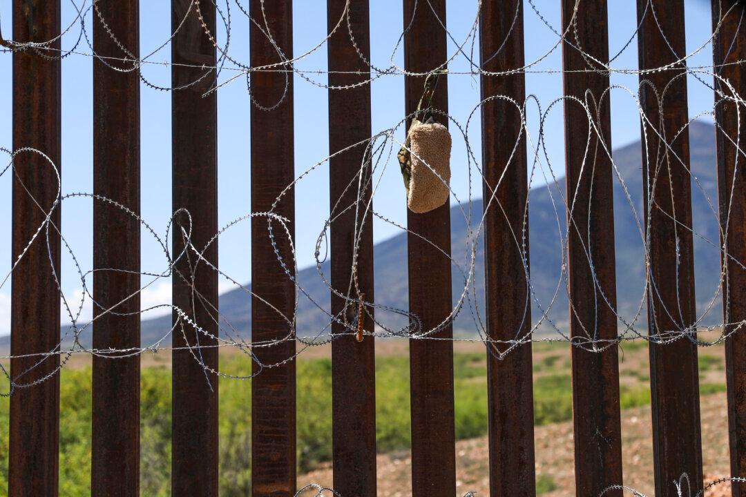 Mexico Detains Nearly 800 Illegal Immigrants, Government Says