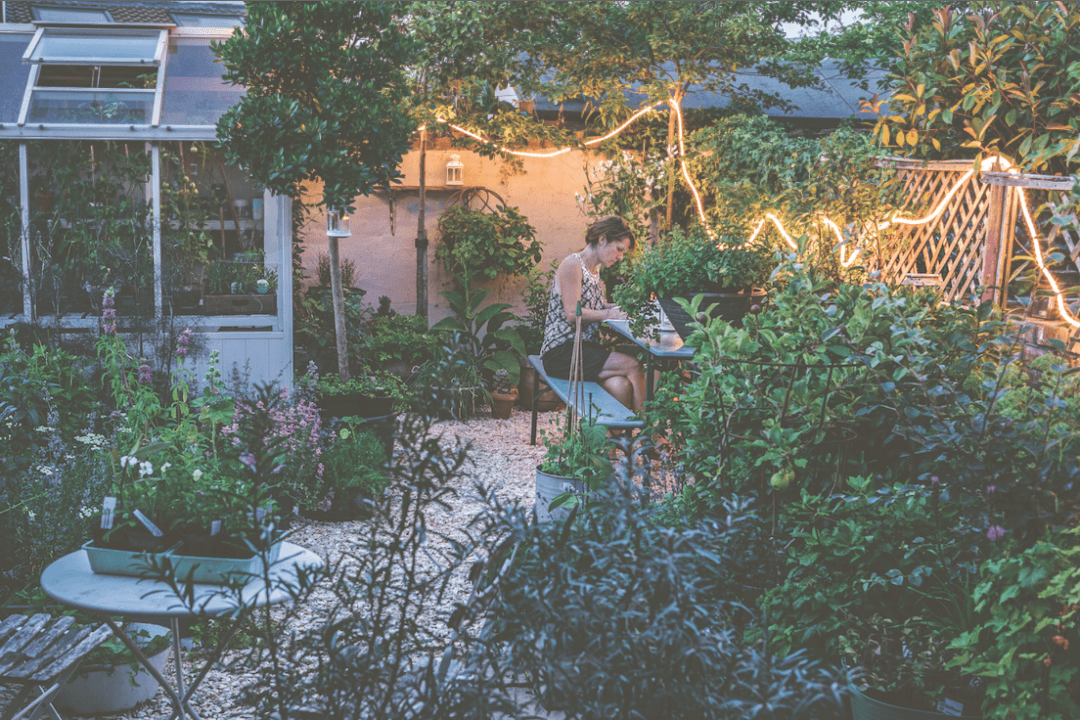 Tips for Growing Plants
in a Small Garden