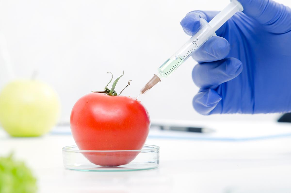 8 Reasons to Avoid GMOs
