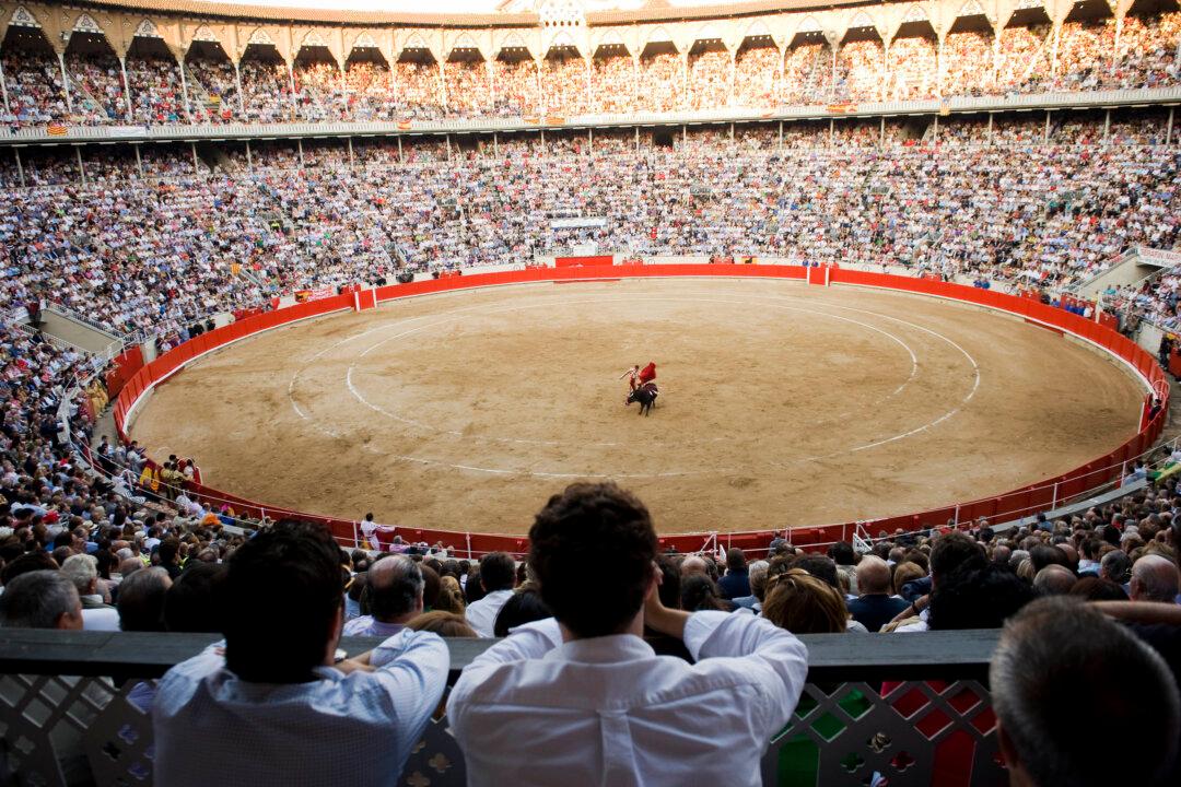 Bull Kills 60-Year-Old Assistant at Spanish Bullfighting Ring