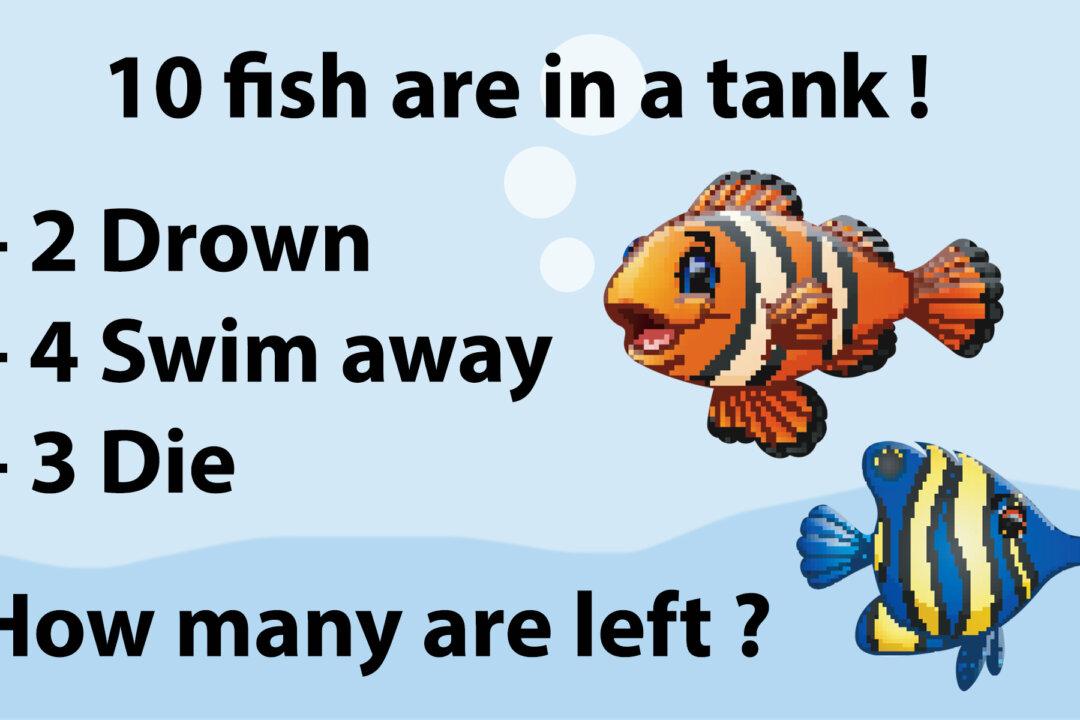 Fish Math Riddle Is Driving People Crazy: Can You Solve It in Under 60 Seconds?