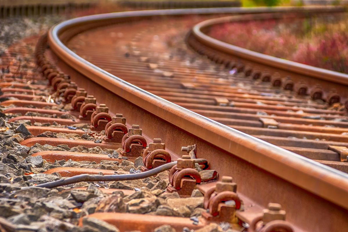 Train Driver Stops Feet Away from Dog Chained to Railroad Tracks