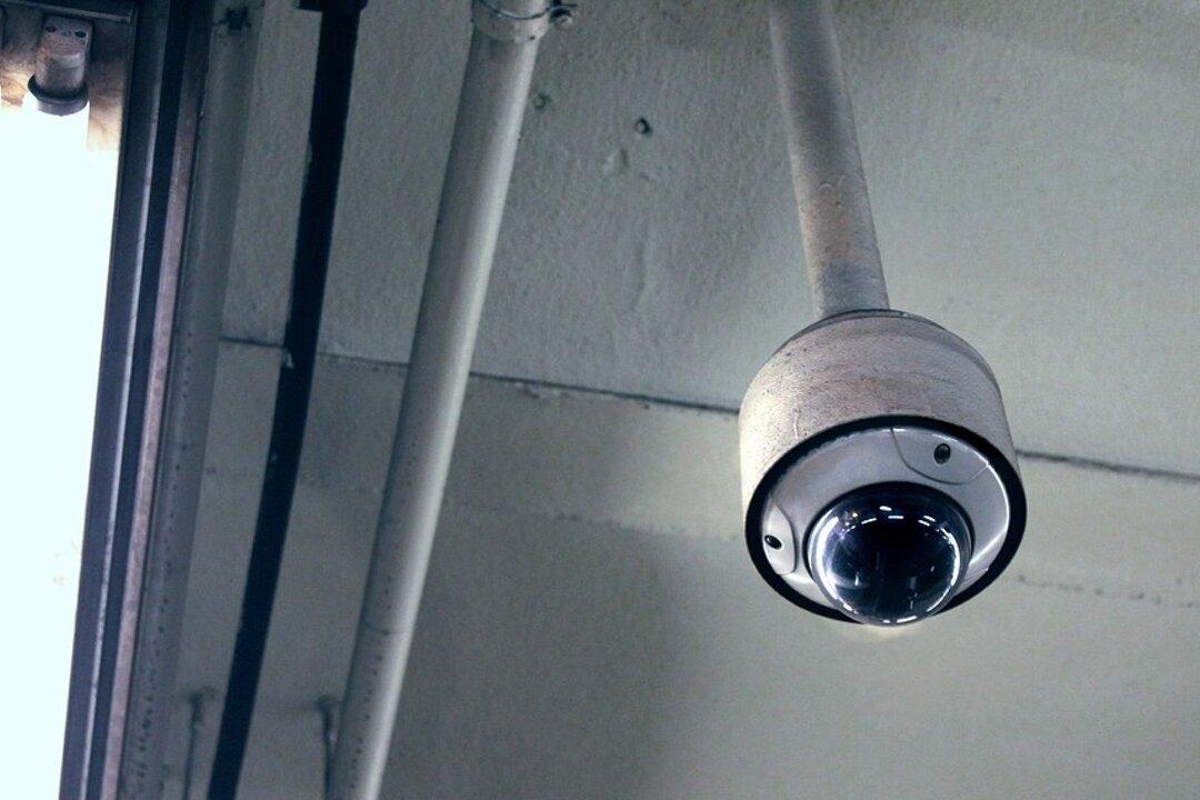 Burglar Steals Security Camera, Unwittingly Livestreams the Act